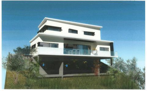 photo no. 3