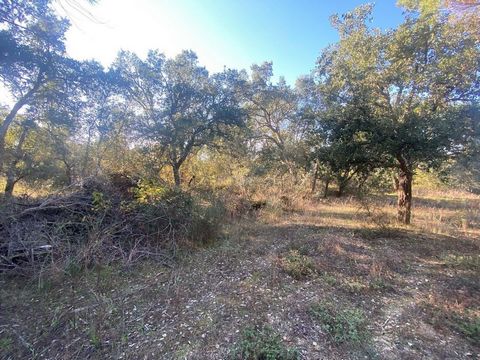 We present a plot of land in Tinalhas, with 12,500 m², ideal for those looking for a rural space full of charm and potential. This land has centenary olive trees that offers the possibility of olive production. In addition, an area has a vineyard, fr...