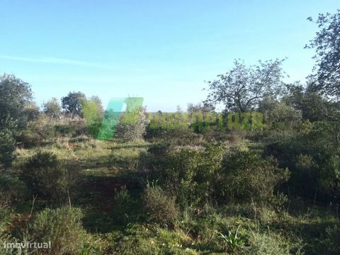 Rustikales Grundstück in Silves, mit 3430 m², flach, hat Licht auf 200 Metern, hat kein Wasser (man muss ein Loch bohren), 1,5 km Feldweg. REF LT-309 Rustikales Grundstück in Silves, mit 3430 m², flach, hat Licht auf 200 Metern, hat kein Wasser (muss...