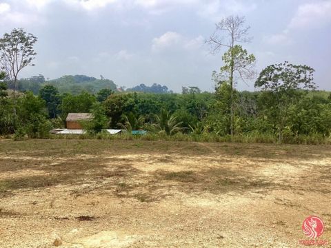 This land is suitable for planting important economic fruit trees such as mangosteen, durian, rambutan, longkong, champada, and lamai, especially mangosteen, which is the main cash crop of Phang Nga in the 3rd place from the database in the Proactive...