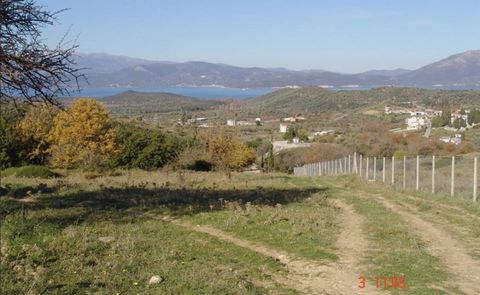 Baugrundstücke zum Verkauf in Agios, Euböa. In Nord-Euböa, in der Siedlung Agios, 6 km von den Bädern von Edipsos und 3,5 km vom Strand von Agiokampos entfernt, mit Panoramablick auf das Meer, das Dorf Agios und die umliegenden mit Pinien bewachsenen...