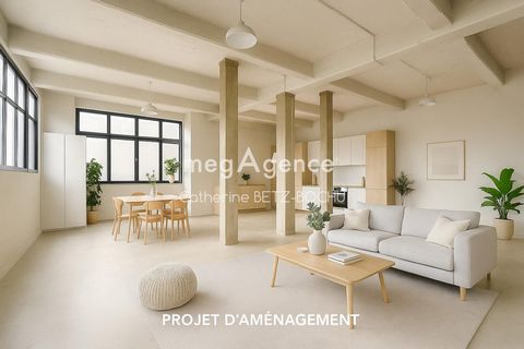 MAISON D'ARCHITECTE 260 M2 SUR 3 NIVEAUX AVEC POSSIBILITE D'ESPACE PROFESSIONNEL OU 2 LOGEMENTS DISTINCTS