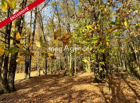 Terrain à bâtir de 4400m2