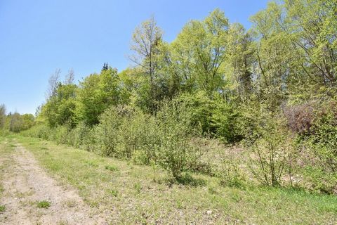 Superb land of 44 105 sf with access to the Little Red River. It is flat and wooded, easy to get to in a quiet street with hydro nearby. Build your dream home or cottage in the countryside, 40 minutes from Tremblant and 30 minutes from Highway 50. IN...