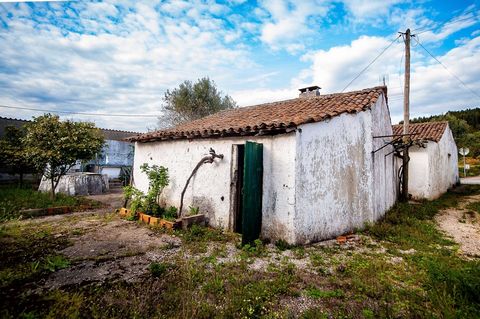 Farm with 1800 m2, with several houses with a total of about 150 m2 to remodel. Land with Vineyards, Orchard and Vegetable Garden. It's got a well and a water pump. Ample spaces for collection or even transformation into support houses, located in S....