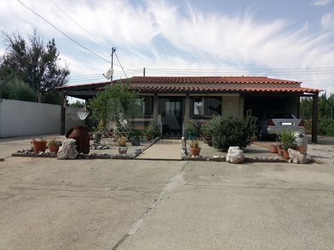Little farm in Abrantes. Land of 6600m2 fully fenced with villa of 63m2 consisting of 1 bedroom, living room with air conditioning, kitchen with fireplace, toilet with shower base, garage. Annex with barbecue, outdoor toilet with shower base. Agricul...
