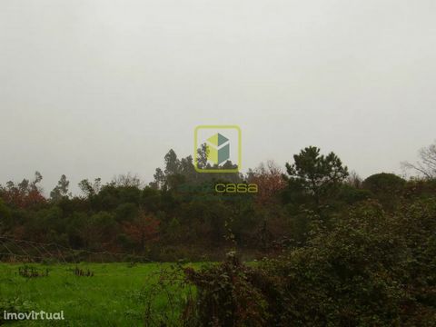 Rustic land with possibility for the construction of 30 villas. Features of the Zone: The Parish of Santa Joana has a central location in the municipality of Aveiro, consisting of several places: Alagoas, Solposto, Viso, Presa, Caião, Quinta do Gato ...