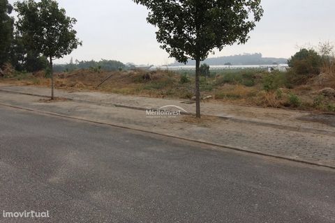 Attention investors! 8 plots of land in the parish of Avidos, V.N.Famalicão. Lots with construction capacity for 3-storey villa, with areas of 1002 per floor. With proximity to trade, pharmacies and essential goods Close to Famalicão and St Tirso and...