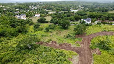 Come and build your house on this lot in Greenpark subdivision Phase 1! This will be a restricted and gated sub division. The Martha Brae River is nearby and you exit off the highway to reach here. Montego Bay is just 30 minutes away and 45 minutes t...