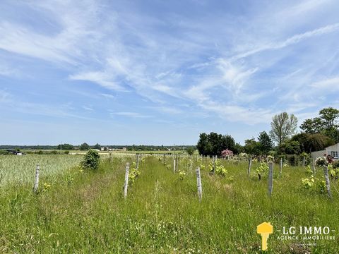 Ludovic GARÉCHÉ offers only at LG IMMO this building plot with a surface area of 3080 m2, located in the town of Boutenac-Touvent, 5 minutes from Mortagne-sur-Gironde and its local shops. The main façade is exposed South, it measures about 20 meters....