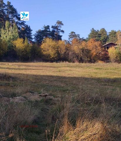 SKY LARK sells a plot of land in the resort - Tsigov Chark, dam. Batak It is located in an attractive place, all day lit by the sun. Near the plot there is water, a dirty canal and there is access to electricity. Power. SKY LARK has different propert...