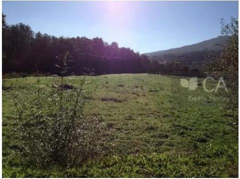 Property located on the outskirts of the urban agglomeration, already in an area of transition to the rural environment. Property with smooth orography and regular configuration, near the town of Mondim da Beira next to the national road that connect...