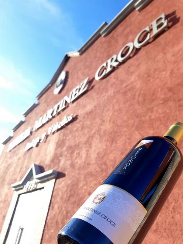 Denna vingård är en pärla, ett familjeföretag sedan 1973. Martinez Croce är en familj som har investerat i hantverket att göra vin i olika generationer. Bodegan är en stor affärsmöjlighet, lönsam, i gott skick och med en väletablerad kundkrets. Den n...