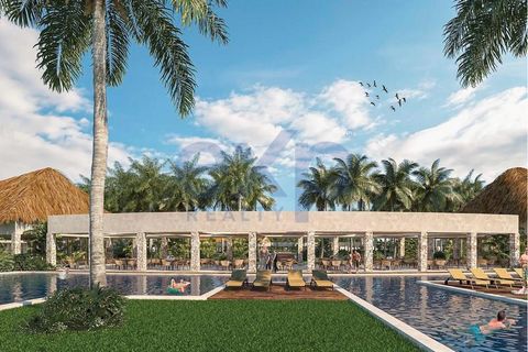 The private Manik is the second private company in the Arkaán mega project. Manik is located in Chicxulub Puerto, Yucatán, in recent years it has become one of the coasts of Yucatán with the greatest added value, making it a perfect place to live. Mu...
