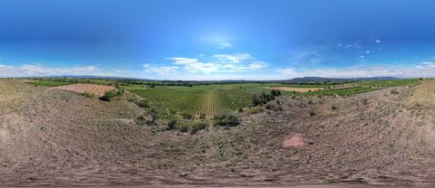 Faîtes l'acquisition de ce terrain agricole à Puichéric. D'une surface de 34493M2 disposant d'une cuve d'eau de 40000L et d'un forage, réalisez le rêve de votre vie. L'Agence immobilière la pierre du Languedoc se fera un plaisir de vous aider pour en...