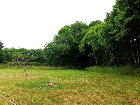EXCLUSIVITY Network BONAPARTE Valérie FURIC ... Offers you at the gates of Quimper in the town of Pluguffan large plot of 1633 m2. Rare on the market come and discover this beautiful unserviced building land (networks nearby) wooded and flat. Located...