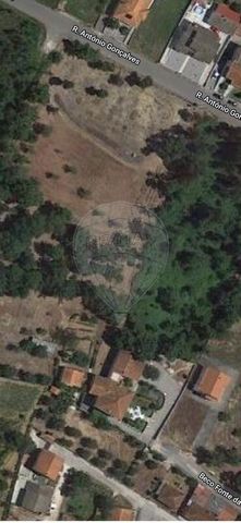 Description Land for sale at 28 832EUR Land Vila Nova Poiares of 424m². This plot is rustic. With a privileged geographical location due to the fact that one of the fronts is very close to the mythical National 2, known as the longest road in Portuga...