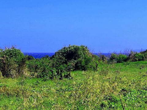 Beautiful sea view plot of 660m2 located in a new housing estate under construction, in a quiet area of the commune of Le Moule. A building permit has already been filed with the project of a magnificent contemporary R+1 villa comprising 4 beautiful ...