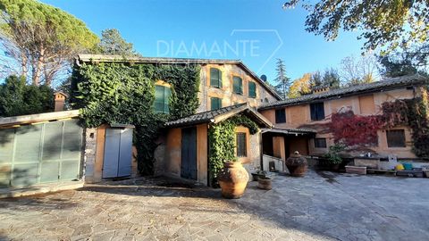 MONTEFALCO (PG): Along the course of the Puja stream, farm with riding stables, approximately 5 hectares of land, farmhouse on three levels, annexes and wells as follows - Farmhouse dating back to 1600, built on a former mill, on three levels of appr...
