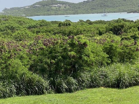 Stroll down to the sandy beach from this gorgeous homesite! It is a big lot of nearly 2 acres with a gentle terrain, which allows for a variety of tropical house designs, and faces east for those coveted Caribbean trade breezes. You are surrounded by...