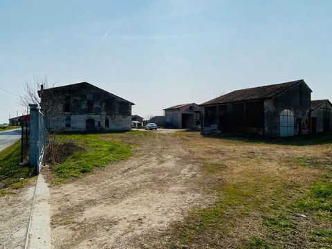 A Redondesco, dans le hameau de Pioppino, dans la province de Mantoue, nous proposons à la vente une partie de cour avec terrain/cour pour environ 3 000 m2. La maison rustique, inhabitée depuis des années, se compose d'une maison principale inutilisa...