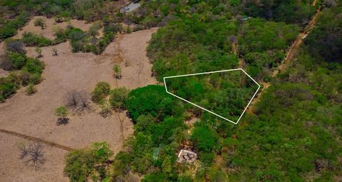 Build Your Dream Home in Stunning Playa Lagartillo.  Now available: this generous, unspoiled land in Playa Lagartillo is only 600 meters from the beach. Already appointed with public water and electricity and now offering the convenience of fiber opt...