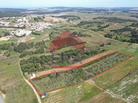 Rustic land located in Vau, Óbidos. With 6400sq.M of total area. Good access, close to the N114 and the A8. About 5km from Óbidos Lagoon and 10 minutes from beaches and golf courses. *The information provided is for informational purposes only, non-b...