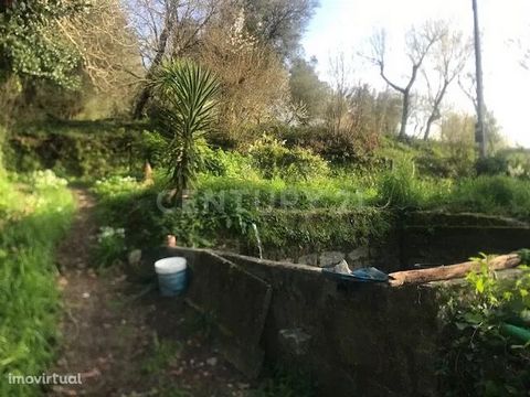 This rustic plot located in Vila Verde offers a unique opportunity for those looking for a rural lifestyle in Portugal. We present this fantastic rustic land, with 5000 m2, located in the parish of Goães (Ribeira do Neiva), Vila Verde, with a lot of ...