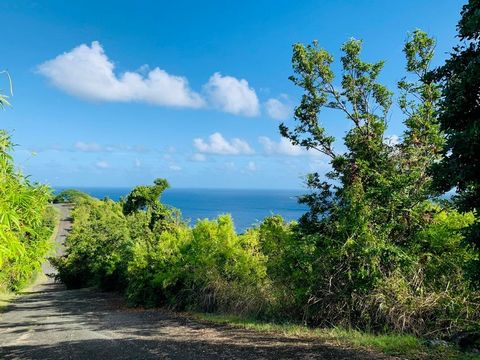 Ridge line lot with expansive views! This lot is just over an 1 acre of lush greenery, located just minutes from Cane Bay, Carambola Golf Course, and several restaurants. Fall in love with sea and verdant hill views and build your dream home in this ...