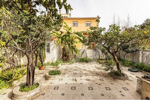 Come and visit this bright and sunny villa in Tunes, to be renovated, with a patio of 80 m2, a barbecue area and two storage spaces. In the immediate vicinity you can  find all kinds of shops , such as supermarkets, restaurants, pastry shops;  all ki...