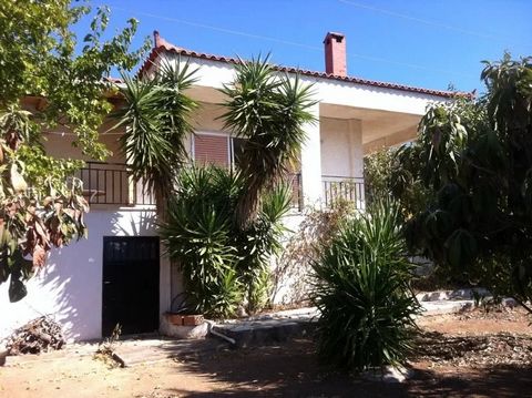 104 sq. m. house (built in 1980) situated at a small mountain at the outskirts of the city of Eretria (near Plakakia-Malakonta), 20 minutes’ walk from the sea. The main house includes a living room with a fire place, open kitchen, 3 bedrooms, 2 toile...