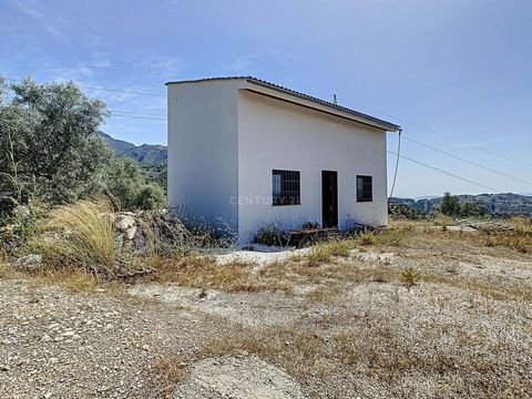 Terrain de 4189 mètres carrés à vendre au coeur du parc naturel de la Sierra de las Nieves. Le terrain, plein d'arbres fruitiers, d'oliviers et d'amandiers, se compose d'une construction à finir à volonté d'environ 40 m2 de socle avec 2 hauteurs. Eau...