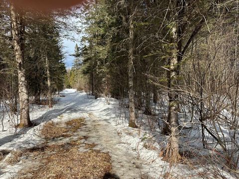 Large lot of +/- 25 square arpents bordered by the Chemin de la Belle Montagne and by the Rivière-Blanche. Part of the lot that will be subdivided. Location/n/r with good building potential. Several trees of different species on the land and mainly r...
