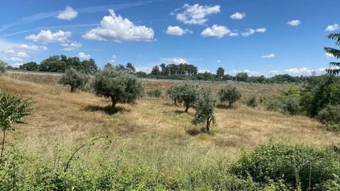 Rustic land with a total area of 420m2. Fertile land, with olive trees and a well. Inserted in the urban area of the village of Soalheira, this land is in a privileged location, approximately 100 meters from the main road. Location 20 minutes by car ...