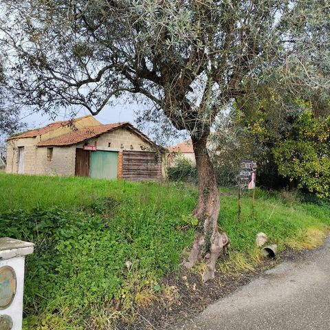 Rustic Land in Little Pena, Parish of Soure, Municipality of Soure and District of Coimbra. Flat land with a front, and excellent sun exposure, With 960m2. Soure is a Portuguese village in the district of Coimbra, which was part of the former provinc...