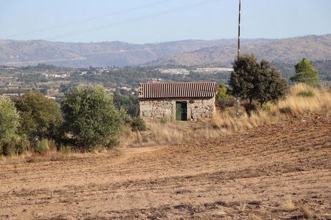 Farm with 5.9 hectares of land with a small stone house for reconstruction. The property meets very interesting conditions both in terms of tourism, agro-tourism as well as for agricultural projects. The farm has a large plantation of cork oaks and s...
