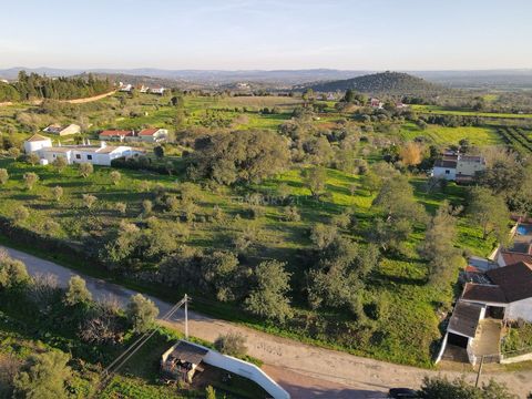 Land of 1660m2, with excellent sun exposure and unobstructed views, nestled in a privileged urban area, ideal for building a primary or secondary residence. Located in the charming historic village of São Bartolomeu de Messines, in the heart of the A...