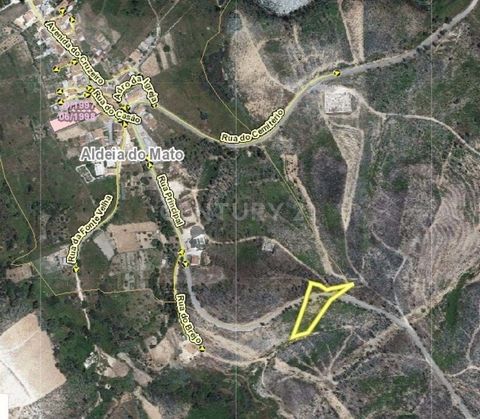 Rustic land with 2120m2 in charming Aldeia do Mato, Abrantes Land Description We present this magnificent rustic plot with a generous area of 2120m2, located in the picturesque Aldeia do Mato, in the municipality of Abrantes. If you're looking for a ...