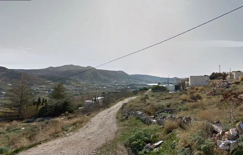Terrain à vendre à Paros, dans le quartier de Kalami à Parikia, d'une superficie de 10 000 mètres carrés. Il bénéficie d'un excellent emplacement, offrant des possibilités idéales d'investissement ou de construction d'une maison, permettant une vie p...