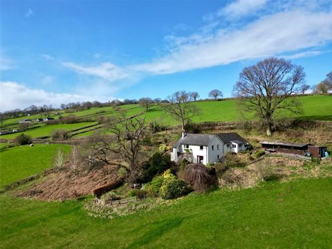 Nestled in a picturesque setting, this spacious four-bedroom family home offers breathtaking panoramic views, stretching from the eastern edges of the Black Mountains to Penyfan in the west. Set in over 5 acres of gardens and land, this property prov...