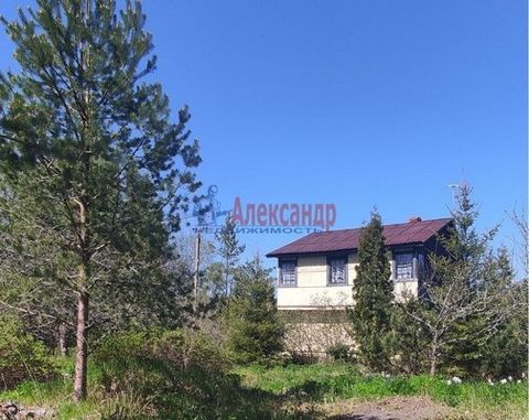 Located in Новинка.