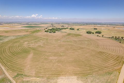 Platteville Farms besteht derzeit aus 2 einzelnen +-40 Hektar großen Grundstücken mit herrlichem Blick auf die Berge entlang der gesamten Front Range von Colorado. Die Parzellen 3 und 4 sind etwa 625 Fuß breit und 1/2 Meile breit und befinden sich au...