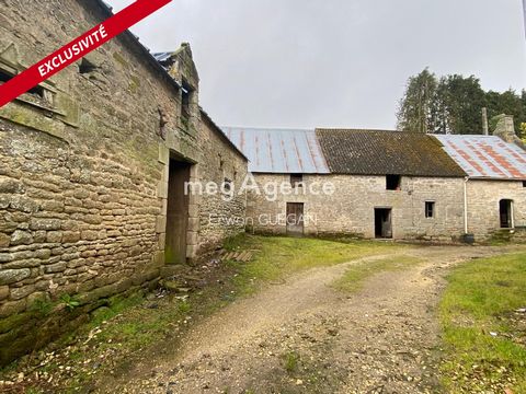 In the Malguénac countryside, stone outbuildings to be completely renovated with a surface area of 200 m² with the upper floor (22m x 5.35m internally on the ground) and 160m² with the upper floor (13.75m x6m internally on the ground) stable of 165m²...