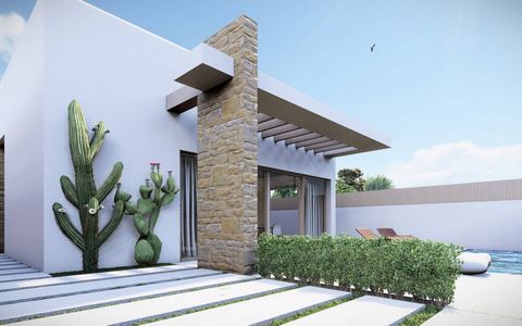 Villas for sale in Villamartín, Costa Blanca 3 bedroom housing, 2 bathrooms, living room, kitchen, garden and private pool Included in the price: Aluminum exterior carpentryMotorized blinds in the bedrooms on the topInterior carpentryComplete bathroo...