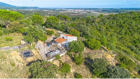 Petite ferme de 5 hectares, et construction rurale de 20m2. Construction avec une pièce unique, qui comprend un espace avec un poêle à bois et un petit salon et salle à manger, et une mezzanine avec espace pour une chambre. Il n’a pas de toilettes, d...