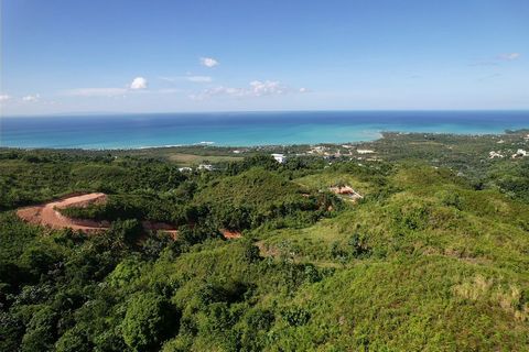 Terreno en Venta con Vista al Océano y Montañas! Área: 6.500 m² Ubicación: A solo 10 minutos del centro de Las Terrenas y de las playas. Este increíble terreno ofrece acceso para vehículos, disponibilidad de agua y electricidad, y está listo para con...