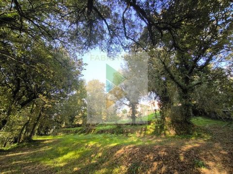 Land for construction located in S. Cosme, Arcos de Valdevez, with a total area of 2,815 m². It benefits from an excellent sun exposure facing west and was born, a place with many oaks and olive trees ideal for building your weekend villa in a quiet ...