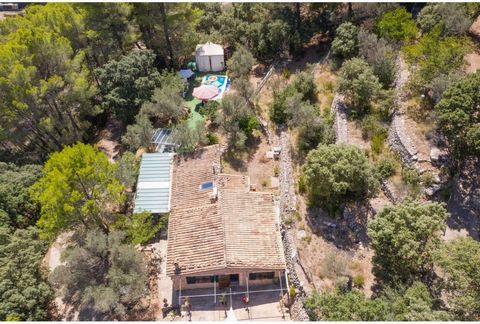 Se vende finca rústica en el pueblo de Sóller con superficie de solar de 10.167 m². Situada en zona alta en Es Pujol d'en Banya, dispone de vivienda legalizada de 110 m² con dos dormitorios, baño completo, sala amplia y terraza cubierta de 40 metros,...