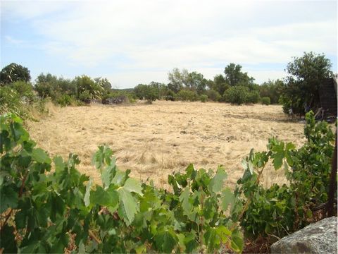 Land for agricultural exploration with a total area of 4,500 m2 fenced. It has diverse fruit trees, a well and an annex in granite stone, a very fertile ground. It has electricity, mains water and basic sanitation available for connection. It is loca...