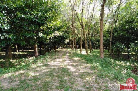 A 16 Rai land plot is for sale only 400 meters away from Petchadkesem Road in Phang Nga and on the way to Lumpee Waterfall. The land is currently a mixed fruit planation, mostly mangostene, and a 8 year old rubber plantation. There is a concrete road...